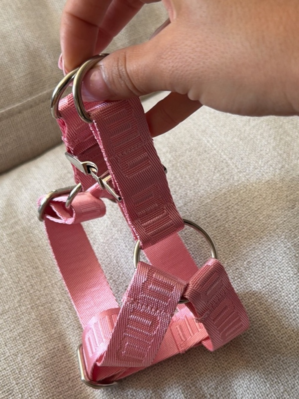 Brand new Pink miu-miu dog harness Accessories
